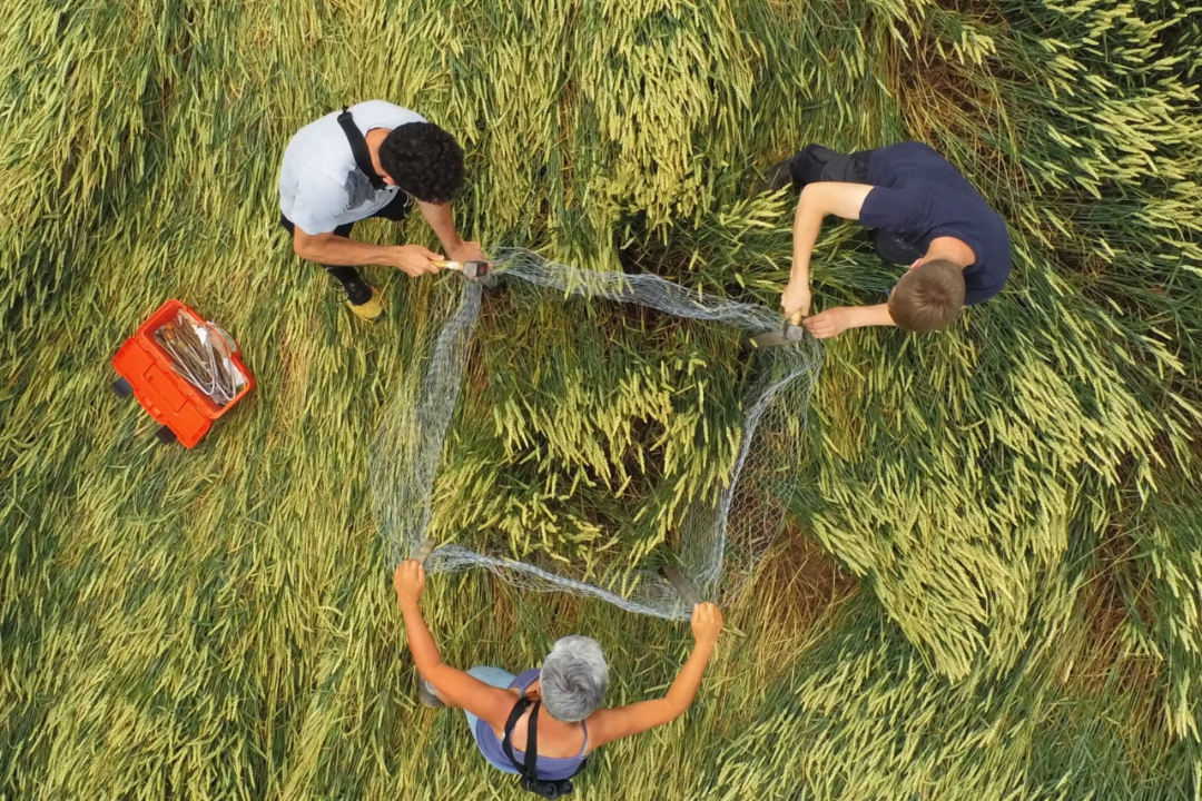 Observatoire de la biodiversité